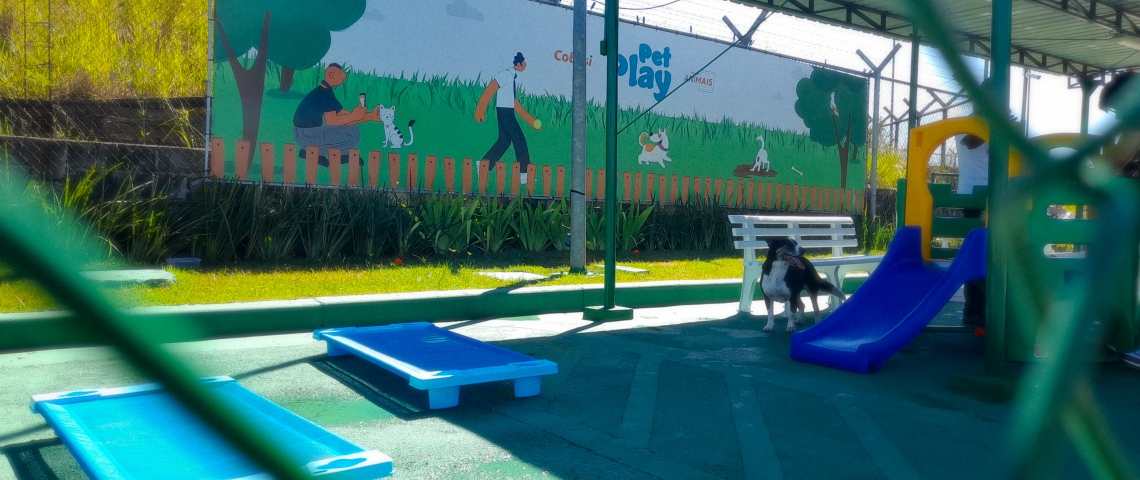 GOL e GOLLOG inauguram o Pet Play em Guarulhos (GRU) no Dia Nacional dos Animais, em iniciativa que reforça os cuidados com os animais de estimação