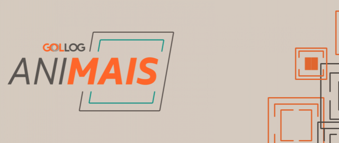 Serviço de transporte de cães e gatos